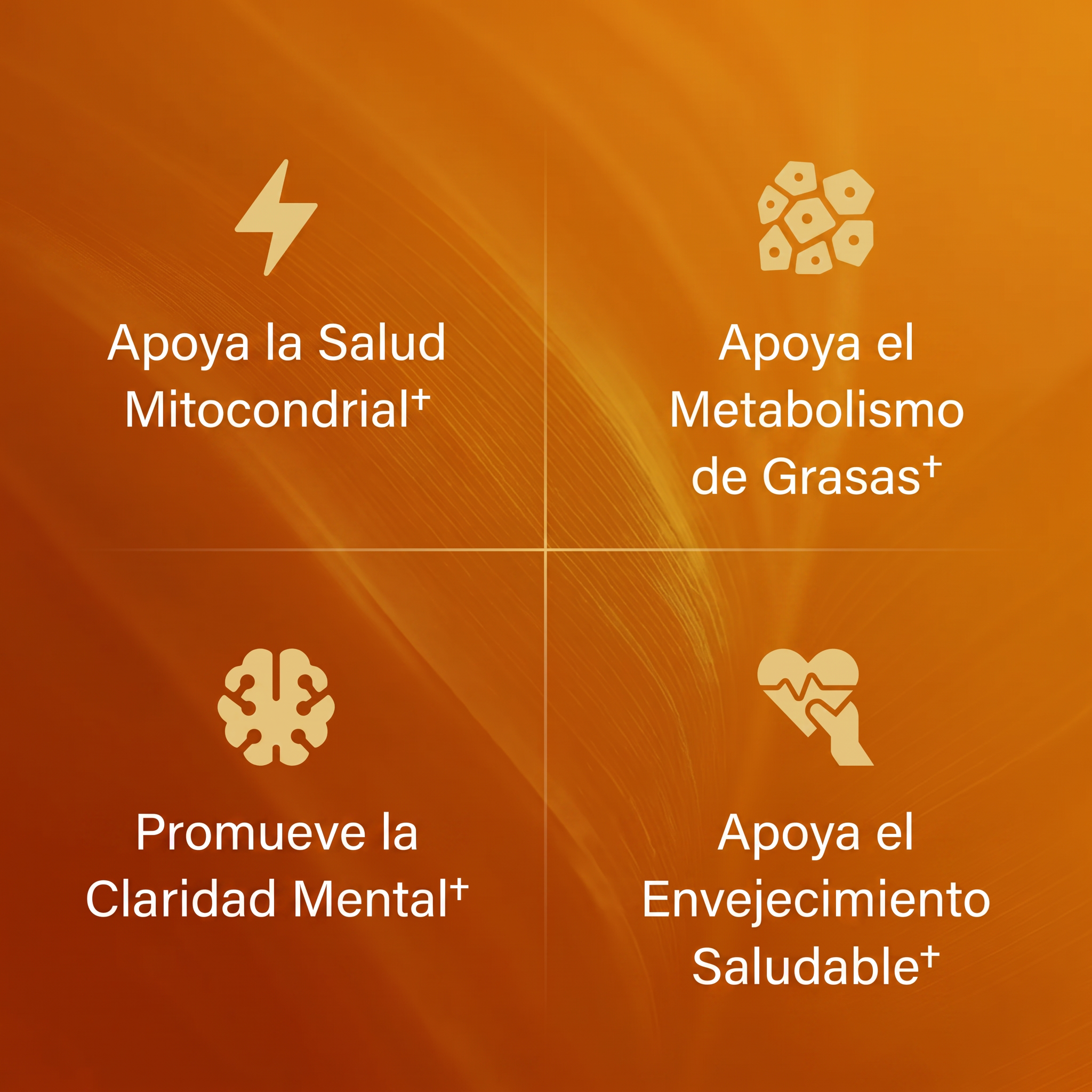 Neuro Vital™ Extracto De Amla Superfruta