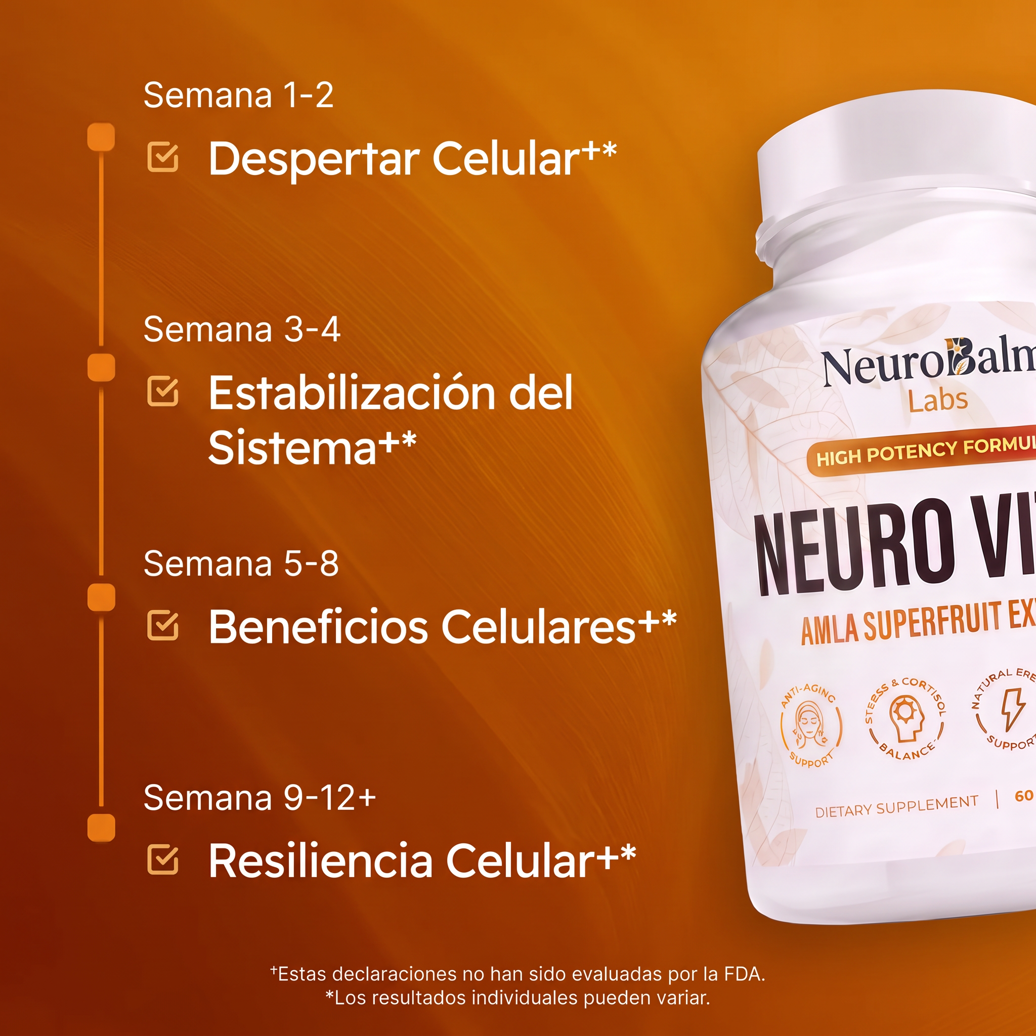 Neuro Vital™ Extracto De Amla Superfruta